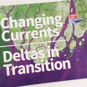 Changing Currents. Deltas in Transition